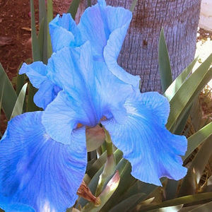 Meet your Posher, Lorena